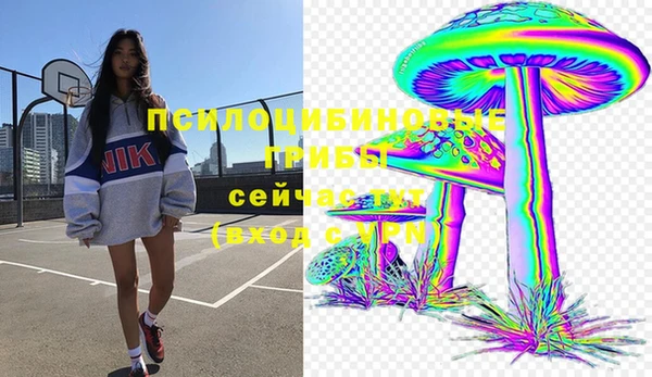тгк Галич